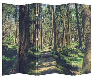Paraván - Cesta mezi stromy (210x170 cm)