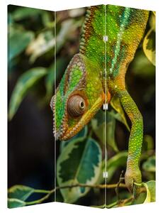 Paraván - Chameleon (126x170 cm)