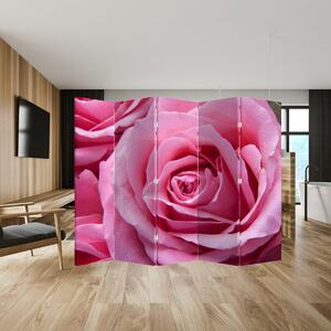 Paraván - Růže (210x170 cm)