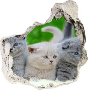 Díra 3D fototapeta nálepka Tři kočky na dece nd-p-112670236