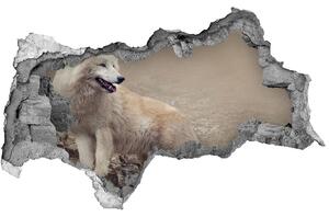 Díra 3D fototapeta na stěnu Bílý vlk na skále nd-b-60381309