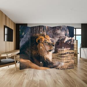 Paraván - Ležící lev (210x170 cm)