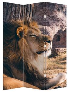 Paraván - Ležící lev (126x170 cm)