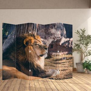 Paraván - Ležící lev (210x170 cm)