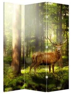 Paraván - Jelen v lese (126x170 cm)