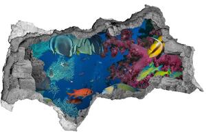 Díra 3D fototapeta na stěnu Korálový útes nd-b-64308436