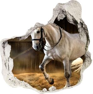Díra 3D fototapeta na stěnu Bílý kůň ve stáji nd-p-113734003