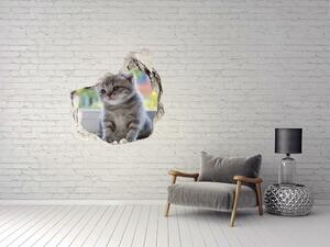 Díra 3D fototapeta na stěnu Malá kočka u okna nd-p-114401117