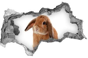 Díra 3D fototapeta nálepka Červený králík nd-b-65984756