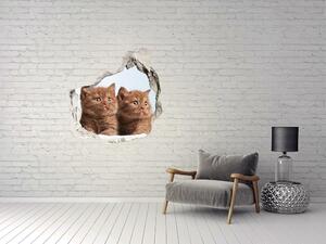 Díra 3D fototapeta na stěnu Kočičky na ručníku nd-p-115160292
