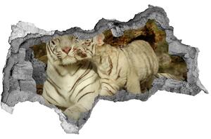 Díra 3D fototapeta nálepka Tygři nd-b-73601237