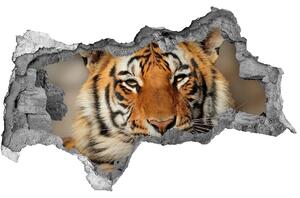 Díra 3D foto tapeta nálepka Bengálský tygr nd-b-88747131