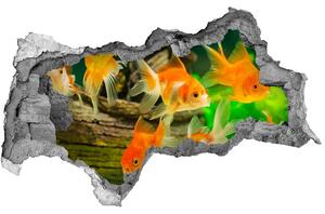Díra 3D foto tapeta nálepka Zlaté rybičky nd-b-89540196