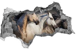 Díra 3D fototapeta nálepka Koně ve cvalu nd-b-106659074