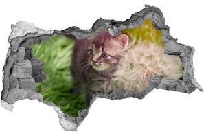 Díra 3D fototapeta nálepka Kočka s pampeliškou nd-b-107758068