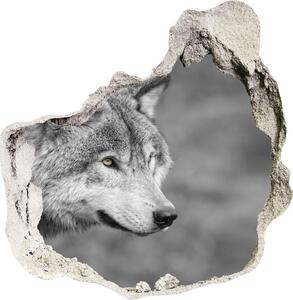 Díra 3D fototapeta na stěnu Šedý vlk nd-p-125421387