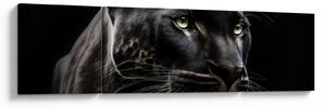 Obraz - Černý panter (170x50 cm)