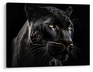 Obraz - Černý panter (70x50 cm)
