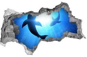 Díra 3D fototapeta nálepka Dva žraloci nd-b-69178156