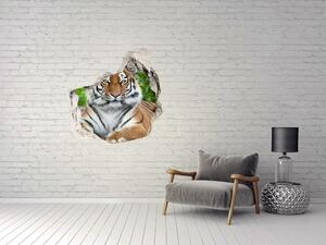 Díra 3D fototapeta nálepka Sibiřský tygr nd-p-129133169