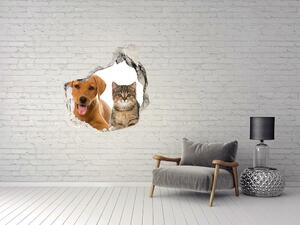Díra 3D fototapeta na stěnu Pes a kočka nd-p-100573313