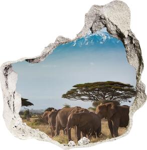Díra 3D fototapeta Sloni Kilimandžáro nd-p-100418826