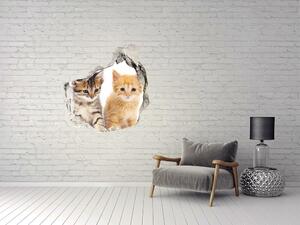 Díra 3D fototapeta na stěnu Hnědá a červená kočka nd-p-101681955