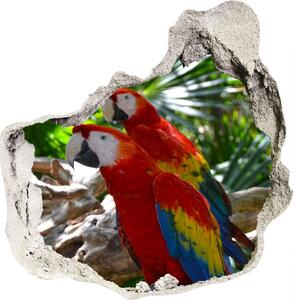 Díra 3D fototapeta nálepka Papoušek Ara nd-p-101702658