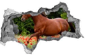 Díra 3D fototapeta nálepka Kůň na poli máků nd-b-85278470