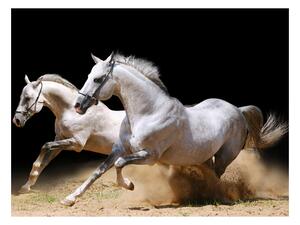 Fototapeta - Cválající koně v písku 200x154 + zdarma lepidlo