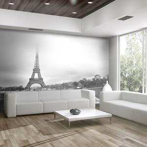 Fototapeta - Paříž: Eiffelova věž II 200x154 + zdarma lepidlo