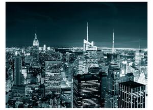 Fototapeta - Noční život v New Yorku II 200x154 + zdarma lepidlo