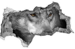Díra 3D fototapeta na stěnu nálepka Vlk nd-b-103311727
