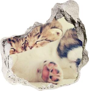 Díra 3D fototapeta na stěnu Dvě kočky a pes nd-p-78906407