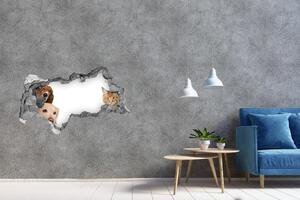 Díra 3D fototapeta na stěnu Psi a kočky nd-b-104206550