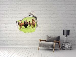 Díra 3D fototapeta nálepka Stádo koní na louce nd-p-79057196