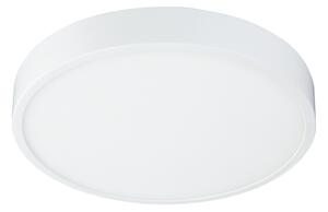 GLOBO LED stropní přisazené svítidlo ARCHIMEDES, stmívatelné, denní bílá, 22cm, kulaté 12364-30
