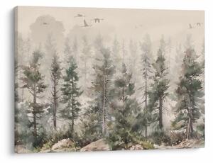 Obraz - Borovicový les I., aquarel (70x50 cm)