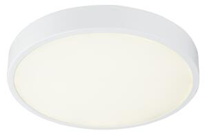 GLOBO LED stropní přisazené svítidlo ARCHIMEDES, stmívatelné, denní bílá, 22cm, kulaté 12364-30