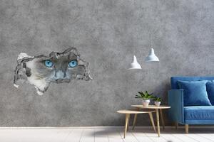 Díra 3D fototapeta na stěnu Koška modré oči nd-b-41430581