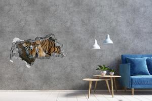 Díra 3D fototapeta nálepka Tygr na stromě nd-b-4289086