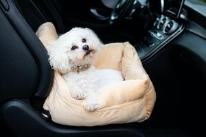 Vsepropejska Sorbon béžová autosedačka pro psa