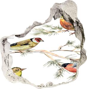 Díra 3D fototapeta Lesní ptáci rostliny nd-p-80184720