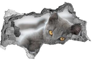 Díra 3D fototapeta nálepka Šedá kočka nd-b-43951156
