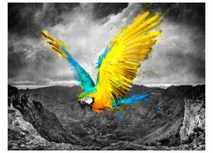 Fototapeta - Exotický papoušek II 200x154 + zdarma lepidlo