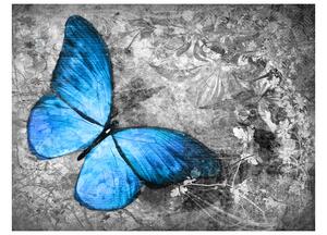 Fototapeta - Modrý motýl III 250x193 + zdarma lepidlo