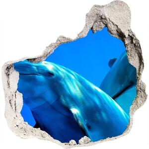 Díra 3D fototapeta nástěnná Dva delfíni nd-p-16277956