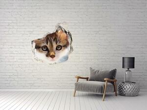 Díra 3D fototapeta nástěnná Nálepka malá kočka nd-p-162385240