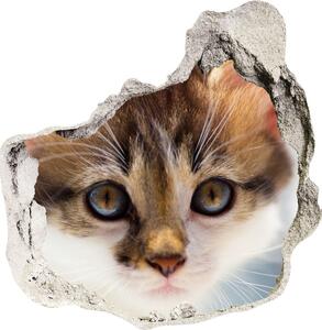 Díra 3D fototapeta nástěnná Nálepka malá kočka nd-p-162385240