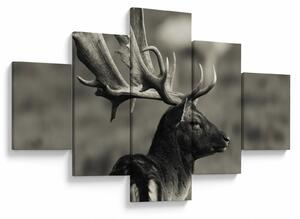 Obraz - Jelen (125x70 cm)